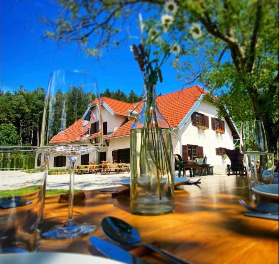 Opa Resort Smartno ob Paki Buitenkant foto