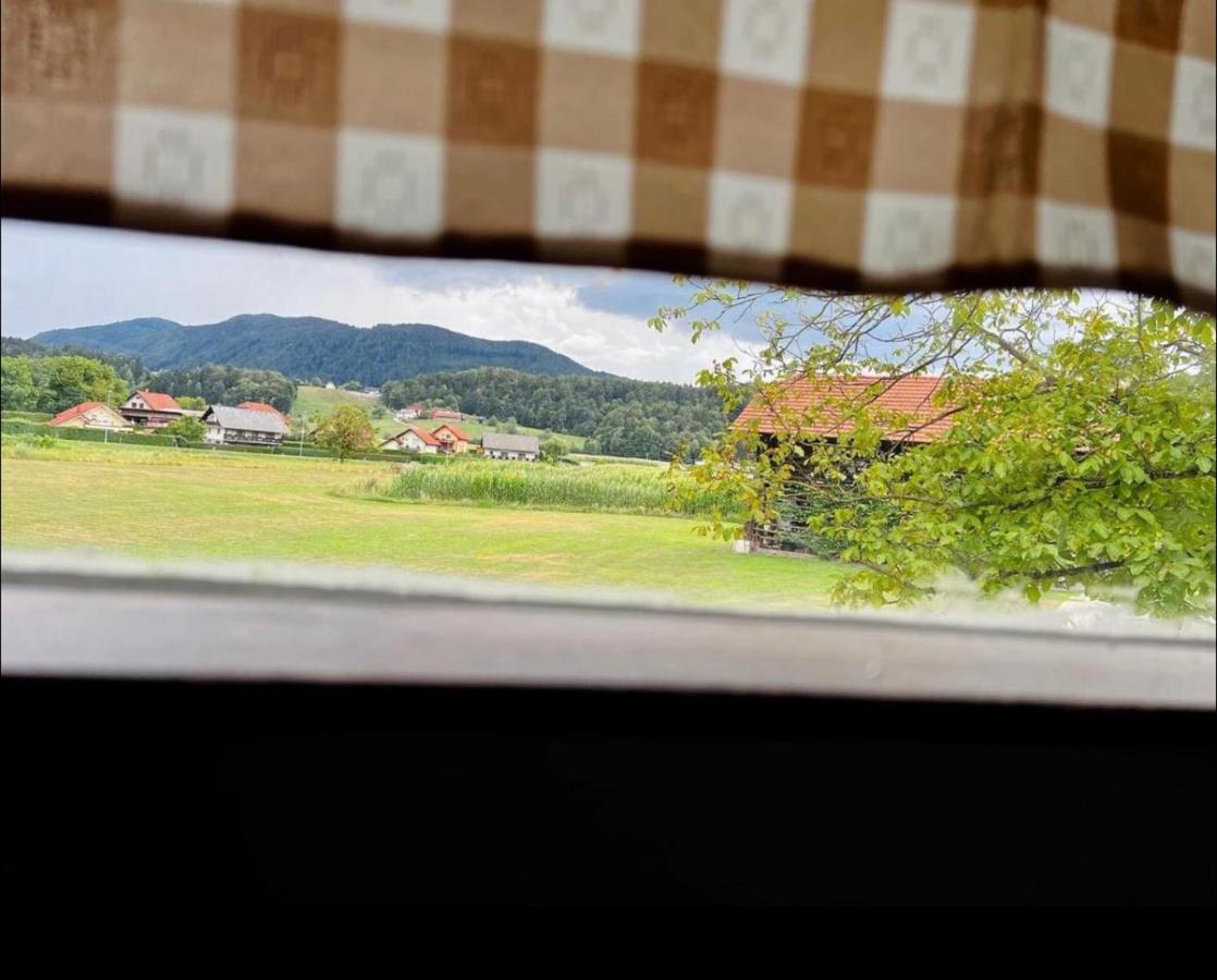 Opa Resort Smartno ob Paki Buitenkant foto